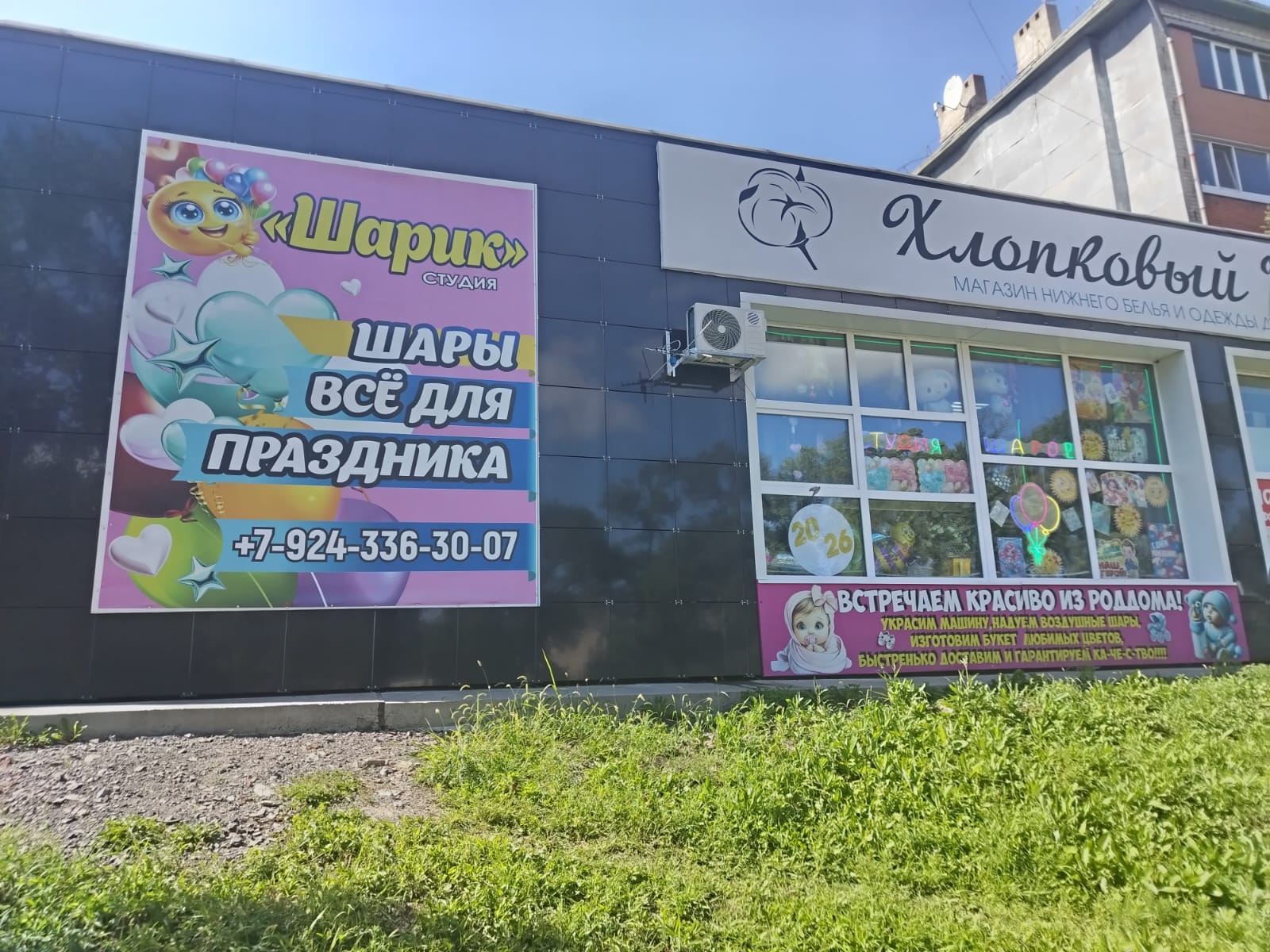 Вход в студию воздушных шаров Шарик на улице Садовой, 3г в Уссурийске